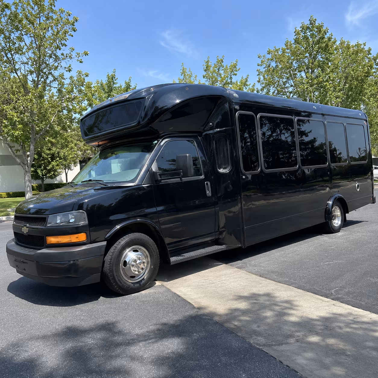 lakeville 15 passenger party bus