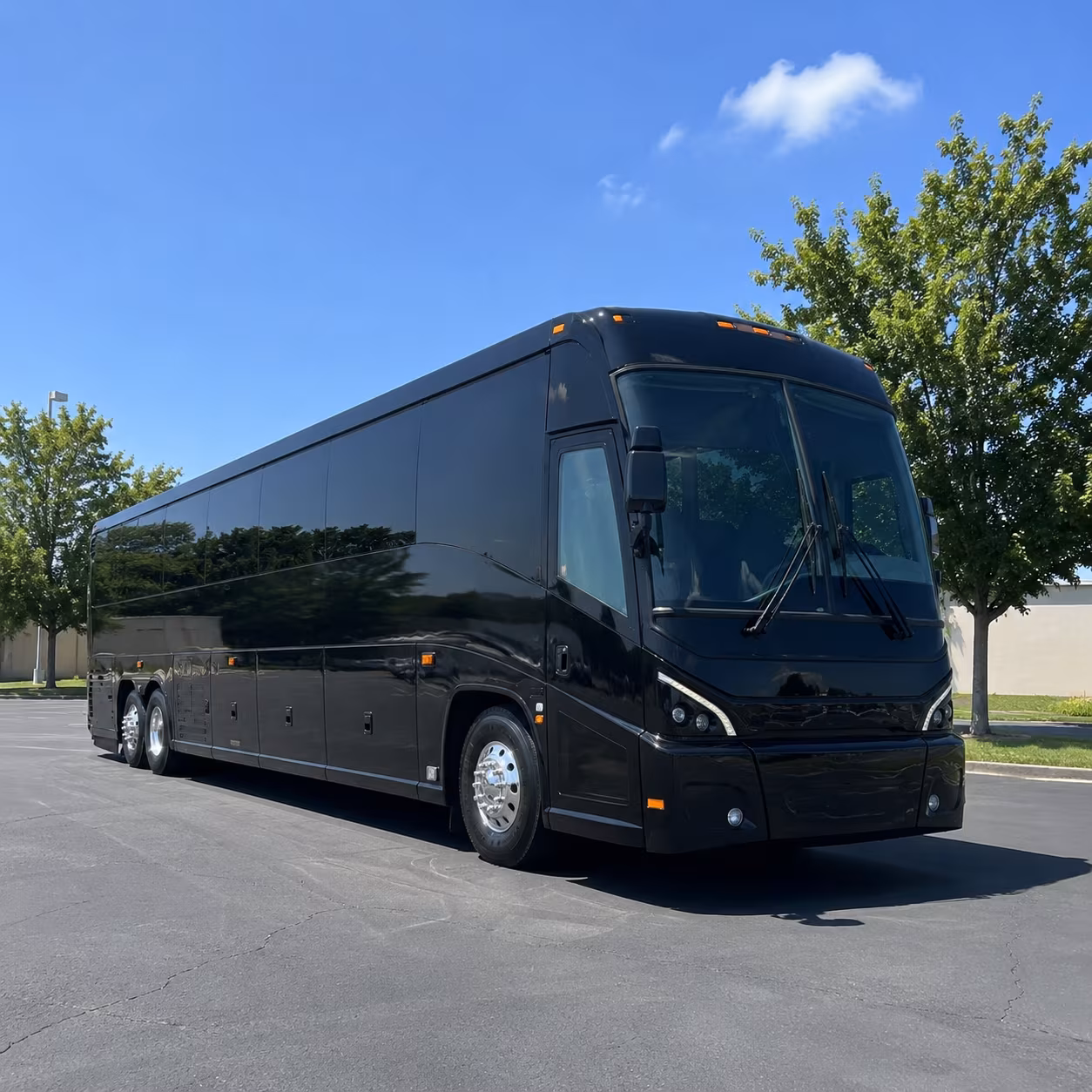 lakeville 56 passenger charter bus