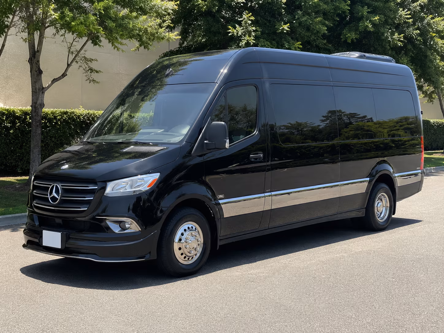 lakeville birthday party transportation onboard seating